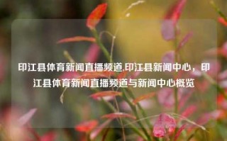 印江县体育新闻直播频道,印江县新闻中心，印江县体育新闻直播频道与新闻中心概览