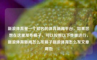 新浪体育是一个知名的体育新闻平台，如果您想在这里发布稿子，可以按照以下步骤进行，新浪体育新闻怎么发稿子新浪体育怎么发文章周也