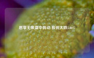 思享无限盘中异动 股价大跌5.66%