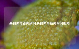 央视体育新闻案例,央视体育新闻案例视频