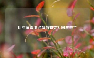 比亚迪香港经销商有变？回应来了