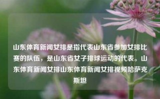 山东体育新闻女排是指代表山东省参加女排比赛的队伍，是山东省女子排球运动的代表。山东体育新闻女排山东体育新闻女排视频哈萨克斯坦