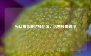 光伏概念股持续回落，远东股份跌停