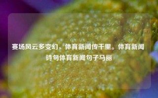 赛场风云多变幻，体育新闻传千里。体育新闻 诗句体育新闻句子马丽