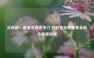 丘应桦：香港充满竞争力 呼吁企业把握黄金机会来港投资