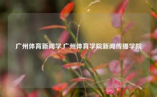 广州体育新闻学,广州体育学院新闻传播学院