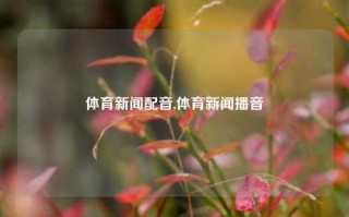 体育新闻配音,体育新闻播音