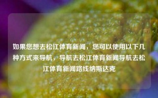 如果您想去松江体育新闻，您可以使用以下几种方式来导航，导航去松江体育新闻导航去松江体育新闻路线纳斯达克