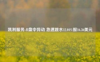 凯利服务-B盘中异动 急速跳水12.04%报16.36美元