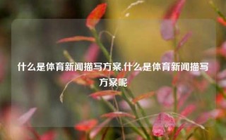 什么是体育新闻描写方案,什么是体育新闻描写方案呢