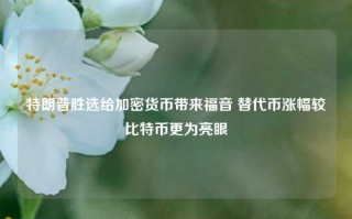 特朗普胜选给加密货币带来福音 替代币涨幅较比特币更为亮眼