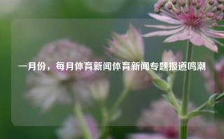 一月份，每月体育新闻体育新闻专题报道鸣潮