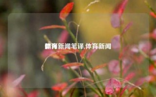 体育新闻笔译,体育新闻
翻译