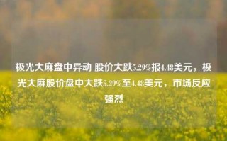 极光大麻盘中异动 股价大跌5.29%报4.48美元，极光大麻股价盘中大跌5.29%至4.48美元，市场反应强烈