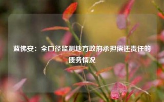 蓝佛安：全口径监测地方政府承担偿还责任的债务情况