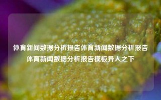 体育新闻数据分析报告体育新闻数据分析报告体育新闻数据分析报告模板异人之下