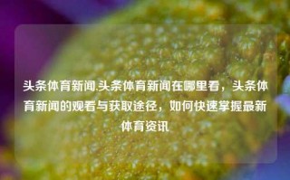 头条体育新闻,头条体育新闻在哪里看，头条体育新闻的观看与获取途径，如何快速掌握最新体育资讯