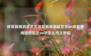 体育新闻消息范文体育新闻消息范文800体育新闻消息范文800字怎么写王思聪