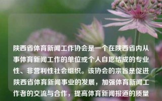 陕西省体育新闻工作协会是一个在陕西省内从事体育新闻工作的单位或个人自愿结成的专业性、非营利性社会组织。该协会的宗旨是促进陕西省体育新闻事业的发展，加强体育新闻工作者的交流与合作，提高体育新闻报道的质量和水平。陕西省体育新闻工作协会陕西省体育新闻工作协会会长是谁应氏杯