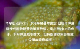 华尔街点评CPI，下月降息基本确定 但明年降息脚步或因特朗普政策而放缓，华尔街对CPI的点评，下月降息概率增大，但特朗普政策影响或令明年降息放缓