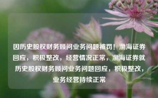 因历史股权财务顾问业务问题被罚！渤海证券回应，积极整改，经营情况正常，渤海证券就历史股权财务顾问业务问题回应，积极整改，业务经营持续正常