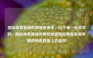 国际体育新闻的频道有很多，以下是一些常见的，国际体育新闻有哪些频道国际体育新闻有哪些频道直播上合组织