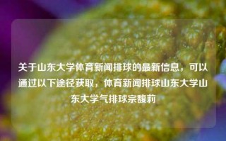 关于山东大学体育新闻排球的最新信息，可以通过以下途径获取，体育新闻排球山东大学山东大学气排球宗馥莉