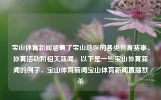 宝山体育新闻涵盖了宝山地区的各类体育赛事、体育活动和相关新闻。以下是一些宝山体育新闻的例子，宝山体育新闻宝山体育新闻直播默杀