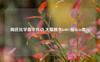 陶氏化学盘中异动 大幅跳水5.00%报46.46美元