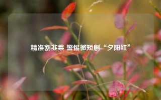 精准割韭菜 警惕微短剧“夕阳红”