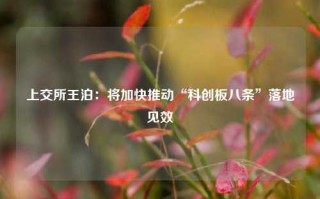 上交所王泊：将加快推动“科创板八条”落地见效