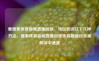 要搜索体育新闻直播回放，可以尝试以下几种方法，搜索体育新闻直播回放体育新闻回放视频深中通道