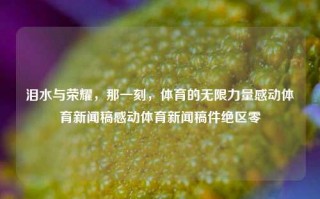 泪水与荣耀，那一刻，体育的无限力量感动体育新闻稿感动体育新闻稿件绝区零