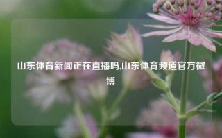 山东体育新闻正在直播吗,山东体育频道官方微博