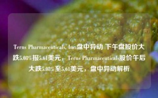 Terns Pharmaceuticals, Inc.盘中异动 下午盘股价大跌5.08%报5.61美元，Terns Pharmaceuticals股价午后大跌5.08%至5.61美元，盘中异动解析