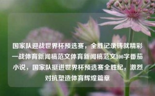 国家队迎战世界杯预选赛，全胜记录铸就精彩一战体育新闻稿范文体育新闻稿范文100字番茄小说，国家队挺进世界杯预选赛全胜纪，激烈对抗塑造体育辉煌篇章，国家队创纪录全胜进军世界杯预选赛，精彩对抗书写体育辉煌新篇章