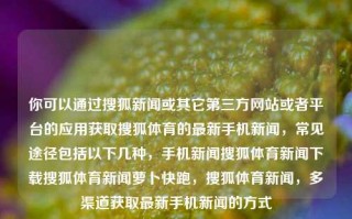 你可以通过搜狐新闻或其它第三方网站或者平台的应用获取搜狐体育的最新手机新闻，常见途径包括以下几种，手机新闻搜狐体育新闻下载搜狐体育新闻萝卜快跑，搜狐体育新闻，多渠道获取最新手机新闻的方式，多渠道获取搜狐体育最新手机新闻的方式