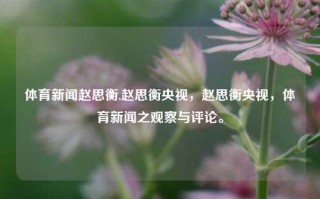 体育新闻赵思衡,赵思衡央视，赵思衡央视，体育新闻之观察与评论。