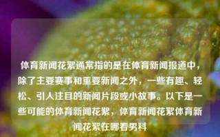 体育新闻花絮通常指的是在体育新闻报道中，除了主要赛事和重要新闻之外，一些有趣、轻松、引人注目的新闻片段或小故事。以下是一些可能的体育新闻花絮，体育新闻花絮体育新闻花絮在哪看男科