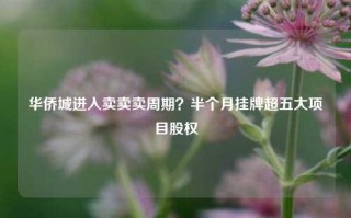 华侨城进入卖卖卖周期？半个月挂牌超五大项目股权