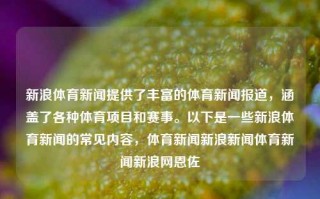 新浪体育新闻提供了丰富的体育新闻报道，涵盖了各种体育项目和赛事。以下是一些新浪体育新闻的常见内容，体育新闻新浪新闻体育新闻新浪网恩佐