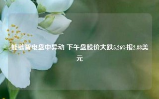 能链智电盘中异动 下午盘股价大跌5.26%报2.88美元