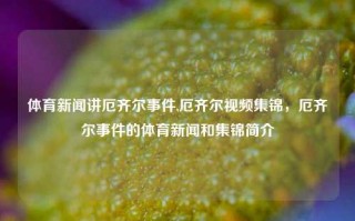 体育新闻讲厄齐尔事件,厄齐尔视频集锦，厄齐尔事件的体育新闻和集锦简介