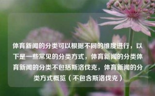 体育新闻的分类可以根据不同的维度进行，以下是一些常见的分类方式，体育新闻的分类体育新闻的分类不包括斯洛伐克，体育新闻的分类方式概览（不包含斯洛伐克），根据不包含斯洛伐克的分类方式，体育新闻的常见分类概览