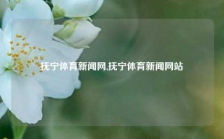 抚宁体育新闻网,抚宁体育新闻网站