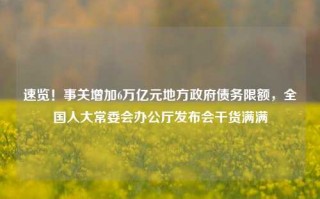 速览！事关增加6万亿元地方政府债务限额，全国人大常委会办公厅发布会干货满满