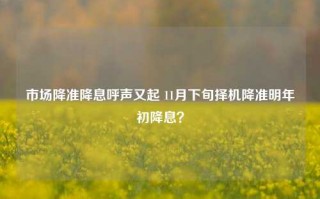 市场降准降息呼声又起 11月下旬择机降准明年初降息？