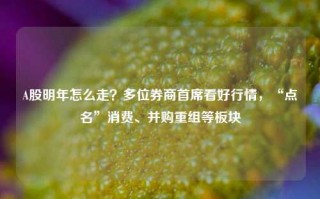 A股明年怎么走？多位券商首席看好行情，“点名”消费、并购重组等板块