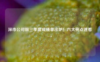 深市公司前三季度成绩单出炉！六大亮点速看→