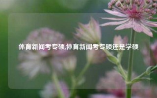 体育新闻考专硕,体育新闻考专硕还是学硕